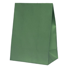 Five Star Paper Party Bag Sage Green 10/PK