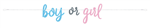 Banner Gender Reveal Blue And Pink 76087