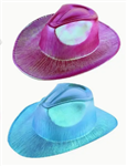 Cowgirl Hat Assorted Colours