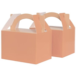 Five Star Paper Little Lunch Box Peach 10PK