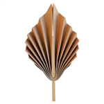 Five Star Paper Palm Leaf 15CM Acorn 2PK