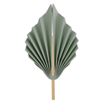 Five Star Paper Palm Leaf 15CM Eucalyptus 2PK