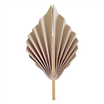 Five Star Paper Palm Leaf 15CM White Sand 2PK