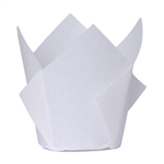 Five Star Paper Tulip Cupcake Case White 20PK