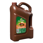 Fountain BBQ Sauce 4L