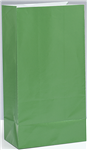 Paper Bags Green 12 Pack