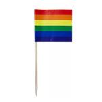 Rainbow Flag Picks 50pk