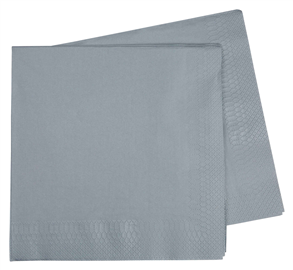 Five Star Napkins Dinner 2Ply Metalic Silver 40/ Pack