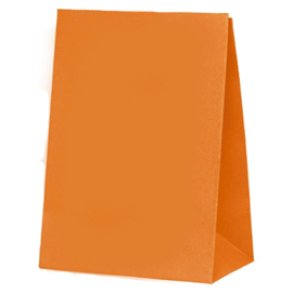 Five Star Paper Party Bag Tangerine 10/PK