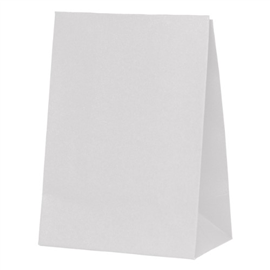 Five Star Paper Party Bag White 10/PK