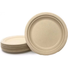 Sugarcane Plate Lunch Natural 50/Pk