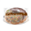 Balfours Donut Choc 130g