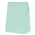 Five Star Paper Party Bag Mint Green 10PK