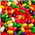 Lolliland Jelly Beans Mixed 1Kg